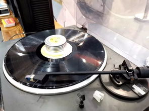 免费入场 厦门又一场视听盛宴 倒计时2天,不能错过